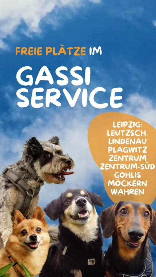 📢Halbtagsbetreuung/ Gassi Service und Dogwalking für Dich und Deinen Hund.📢

Du möchtest Deinem Hund mehr bieten - Auslauf, Sozialkontakte und Spaß? 
Du brauchst Entlastung im Home Office oder wenn Du ins Büro musst? 

Wir betreuen kleine bis mittelgroße Hunde in einer harmonischen Hundegruppe von Montag bis Freitag. Abholung erfolgt am späten Morgen/Vormittag und am Nachmittag kommen die Hunde ausgelastet und glücklich wieder nach Hause oder ins Büro. 

Als zertifizierte Hundetrainer haben wir ein geschultes Auge für unsere Schützlinge und sorgen jeden Tag für ein neues Abenteuer. Zusätzlich trainieren wir kleine Baustellen im Gassi Service. 

Unseren Gassi Service gibt es mittlerweile seit 8 Jahren. 8 Jahre voll mit tollen Hundepersönlichkeiten  und viel Zeit in der Natur. 😌🐶🐾

Hast Du Interesse? 
Dann schau auf unsere Website www.mein-tierfreund.de - Dort findest Du alle Infos und unsere Konditionen. 

Schreib uns gerne hier per PN oder via Kontaktformular auf unserer Website. 

Wir freuen uns auf Dich und Deinen Hund ❤️

#gassiserviceleipzig #dogwalkingleipzig #hundebetreuungleipzig #mobilehundebetreuungleipzig #dogwalkerleipzig #hundesitterleipzig #dogsleipzig #hundeliebe #meintierfreundleipzig #leutzsch #plagwitz #gohlis #lindenau #leipzigwaldstrassenviertel #leipzigcity #wahren #moeckern #waldstraßenviertelleipzig #leipzigmusikviertel #leipzigzentrumsüd
